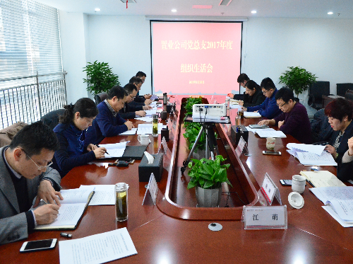 加強廉政建設 筑牢思想防線——皖投置業(yè)公司黨總支組織開展廉潔從業(yè)警示教育活動