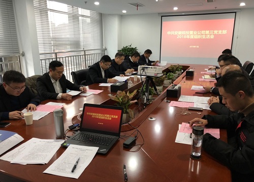 公司第三黨支部召開2018年度組織生活會