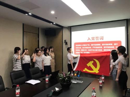 公司第一黨支部、第二黨支部分別召開黨員大會暨“不忘初心，牢記使命”主題教育專題黨員活動日